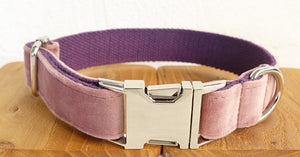 The Ultimate Dog Leash and Collar: Elevate Your Pet's Walks