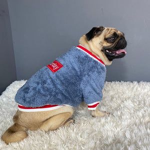 The Perfect Pet Sweater for Your Furry Friend
