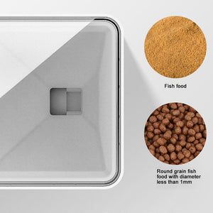 Enhance Your Fish Care Routine with the Pet Feeding Fish Food Dispenser