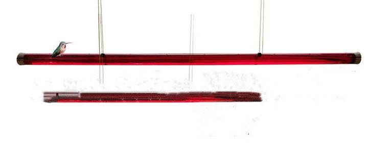 Discover the Joy of Birdwatching with Our Hanging Long Tube Red Bird Feeder