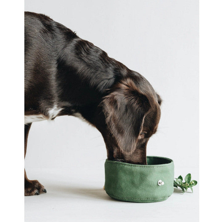 Folding Pet Tableware Drinking Water Bowl