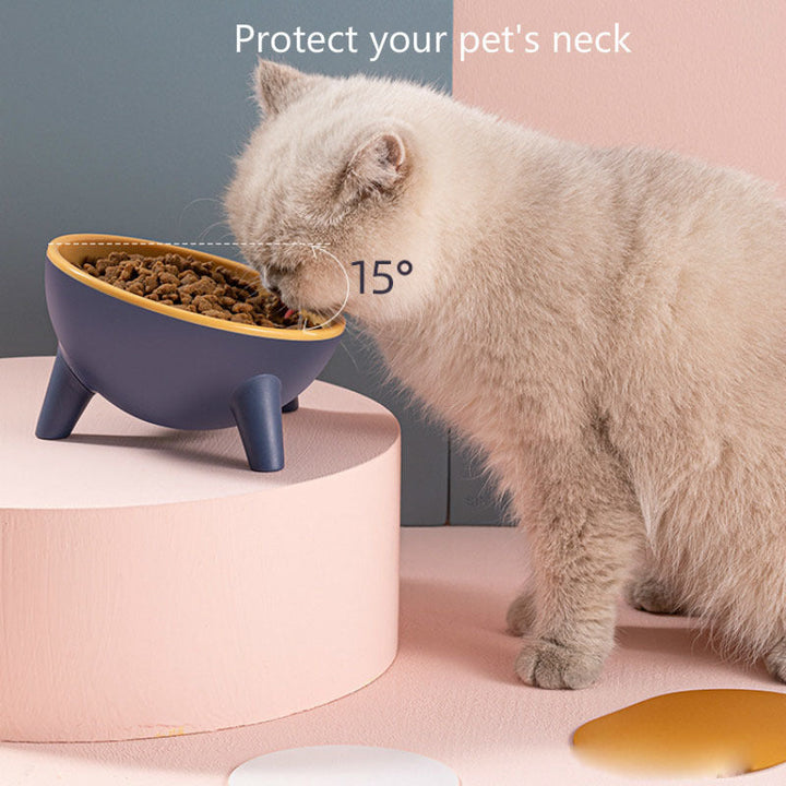 Transform Your Pet's Dining Experience with the Nordic Color Feeder