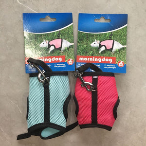 Why Your Bunny Needs a Stylish and Comfortable Clothes Leash