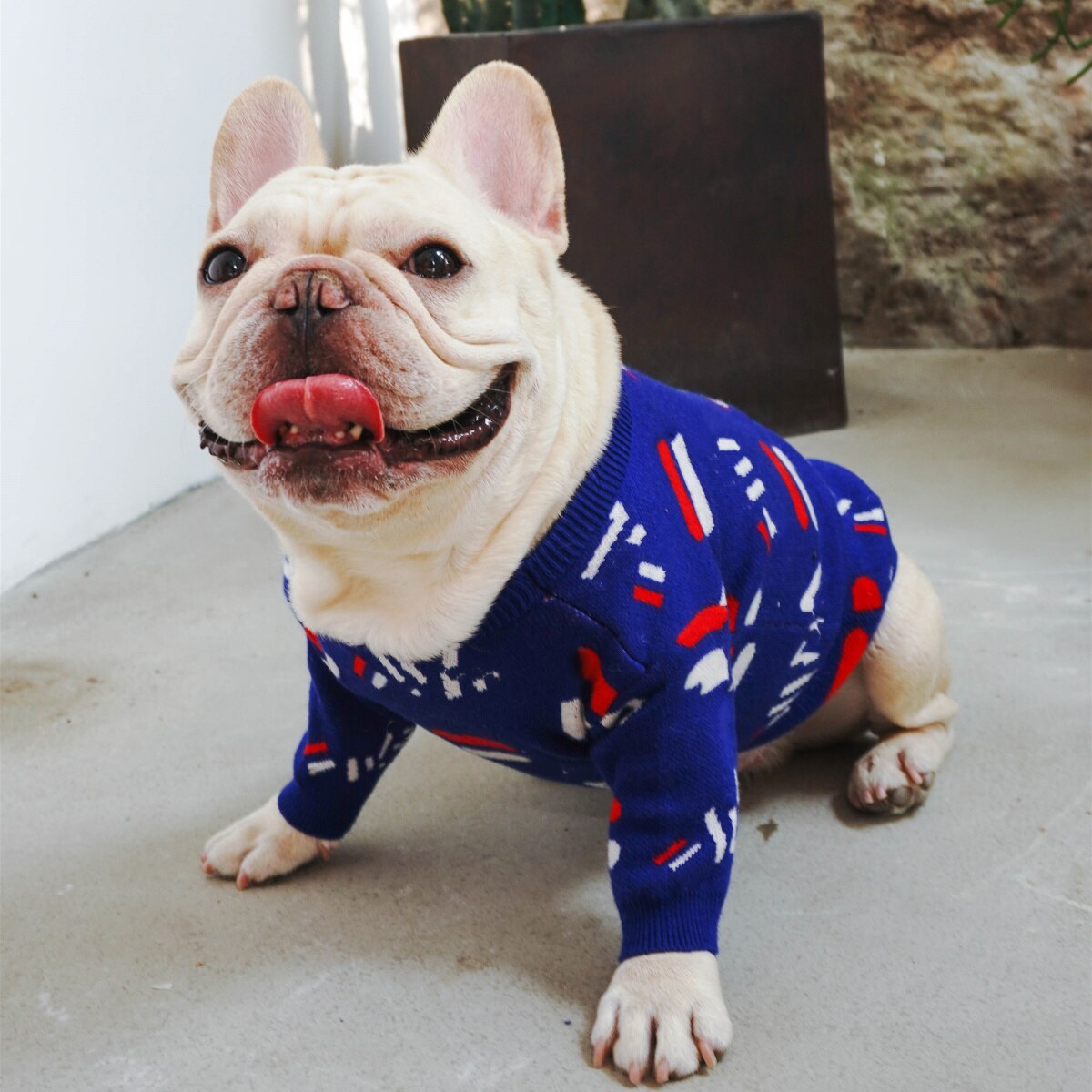 The Perfect Pug Pet Sweater for Your Furry Friend
