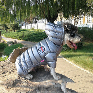 Why Your Pet Deserves the Best: The Pet Down Cotton Jacket