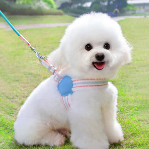 Why Your Pet Deserves the Summer Breathable Corgi Pet Leash
