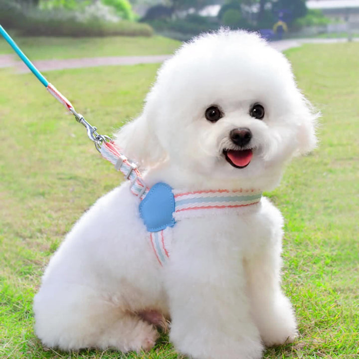 Why Your Pet Deserves the Summer Breathable Corgi Pet Leash