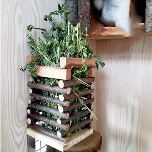 Enhance Your Pet's Feeding Experience with Our Rabbit Grass Feeder