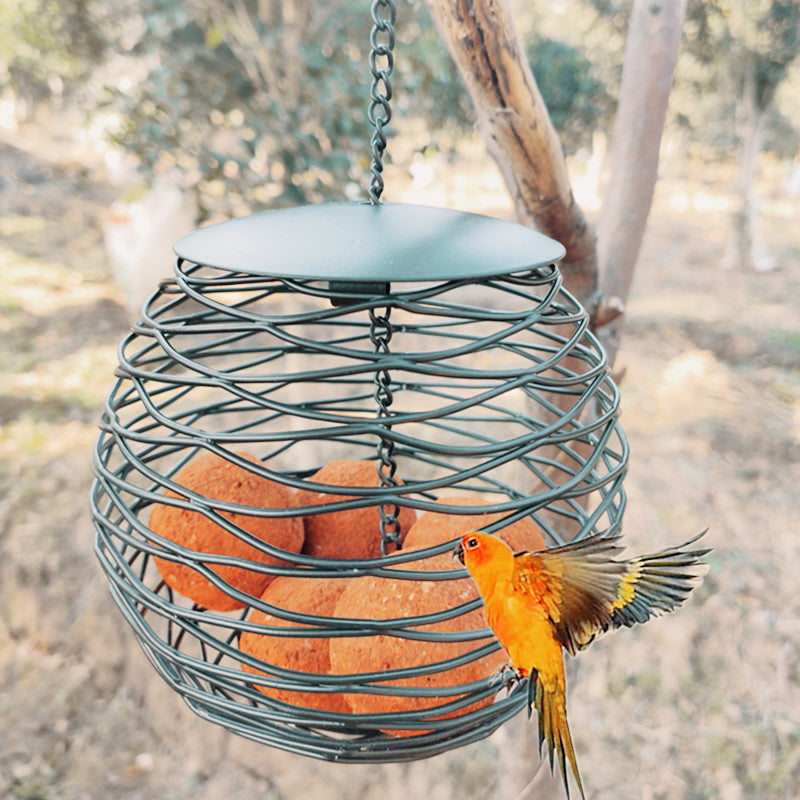 Enhance Your Garden with Our Outdoor Hanging Wild Bird Feeder