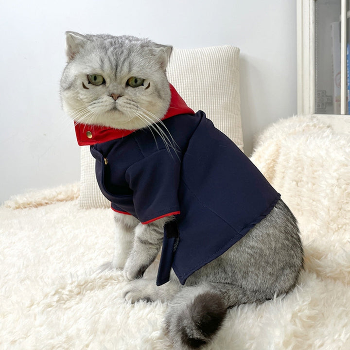 Capture Moments with Our Cat And Dog Hoodie Photo Props