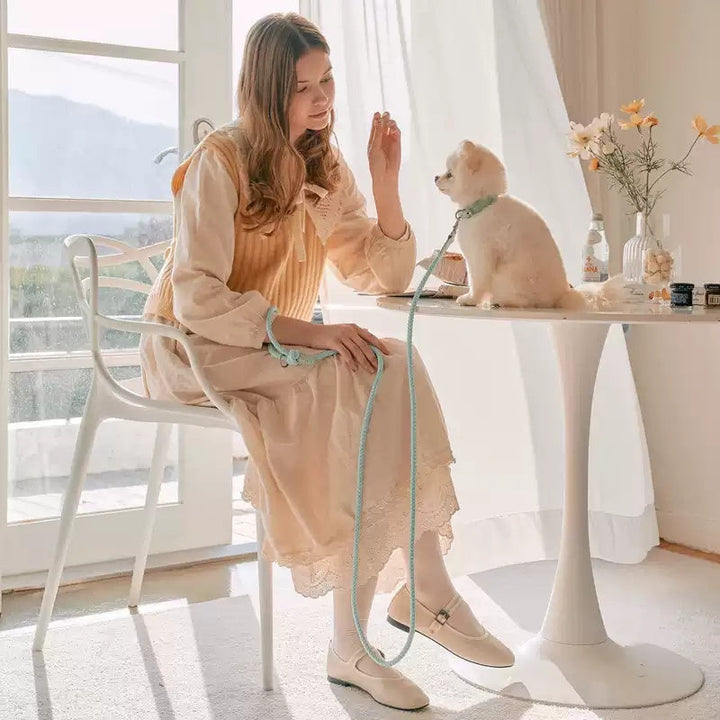 Elevate Your Dog Walking Experience with Our Leather Hand Holding Leash