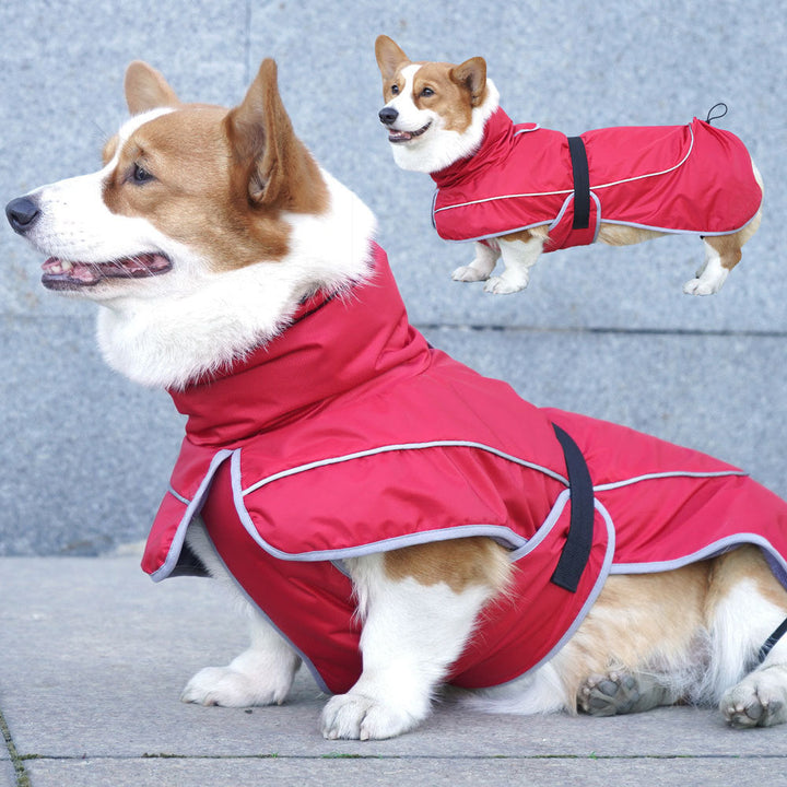 Why Your Dog Deserves the Pet Dog Warm Shell Jacket