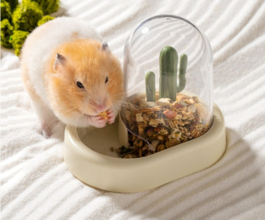 Home Hamster Creative Cactus Automatic Feeder: The Perfect Solution for Your Furry Friend