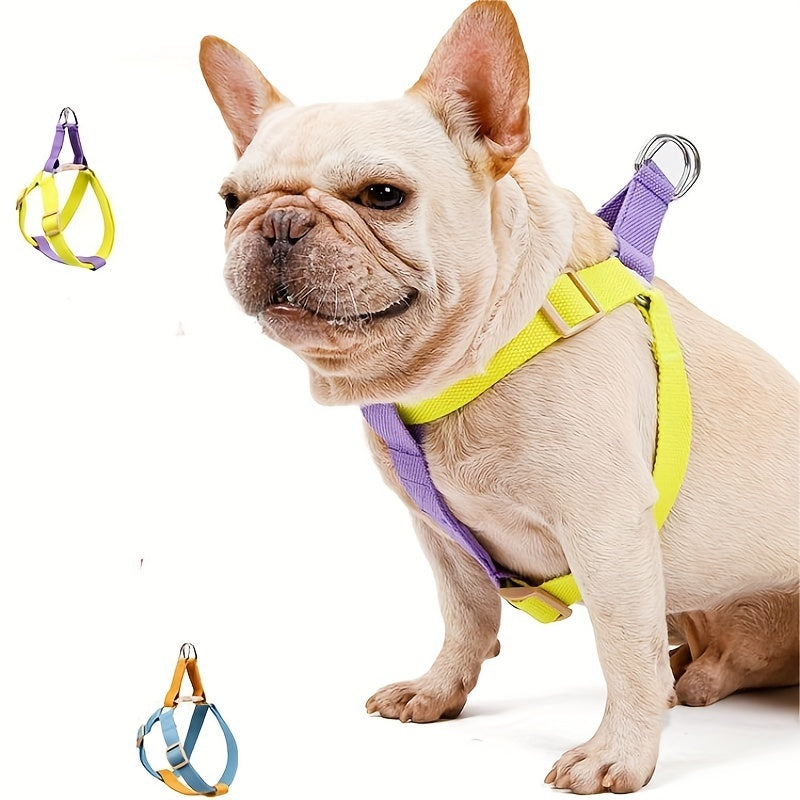 Elevate Your Pet's Style with the Rainbow Colorblock Pet Harness Chest Leash
