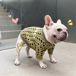 Keep Your Pets Cozy This Winter with Our Stylish Sweater