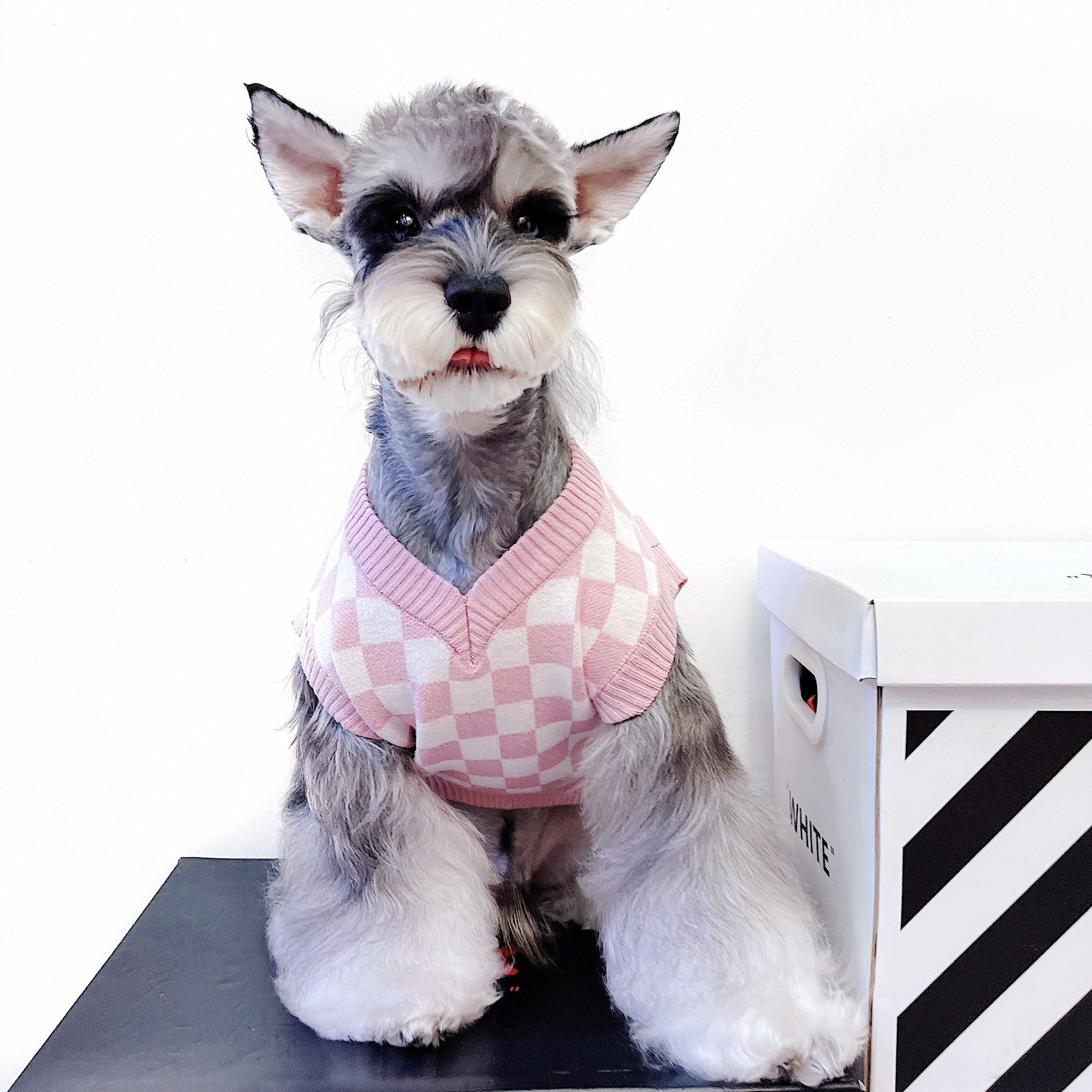 Elevate Your Pet's Style with Our Adorable Checkerboard Vest Sweater