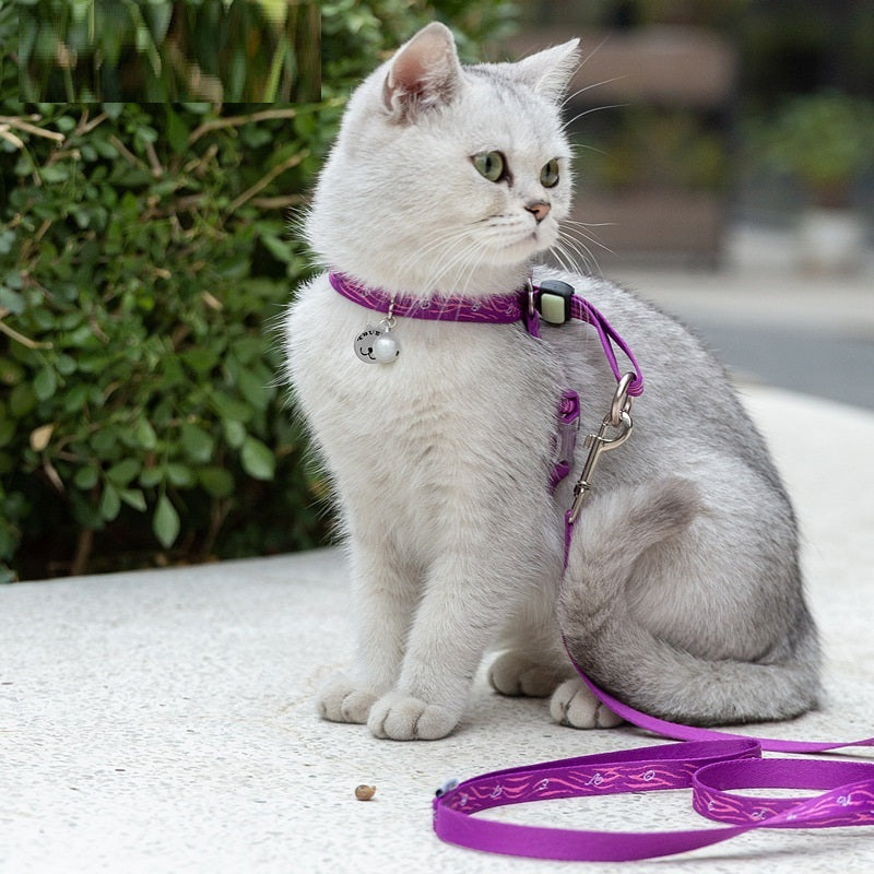 The Ultimate Pet Vest for Your Small Dog