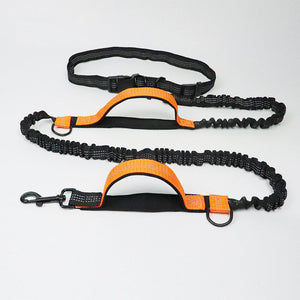 Harness Collar Jogging Adjustable Pet Leash: The Ultimate Companion for Active Pets