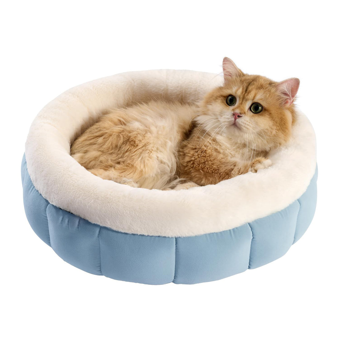 Round Plush Anti-Slip Bottom Pet Bed