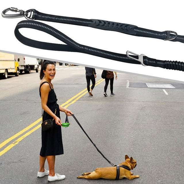 Car Traction Dog Leash