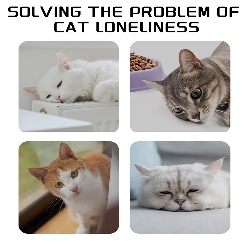 Pet Knots Chew Rope Toys