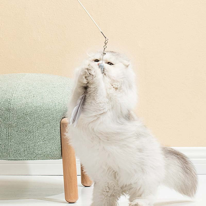 Cat Laser Feather Funny Cat Stick Toy
