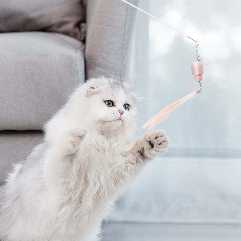 Cat Laser Feather Funny Cat Stick Toy