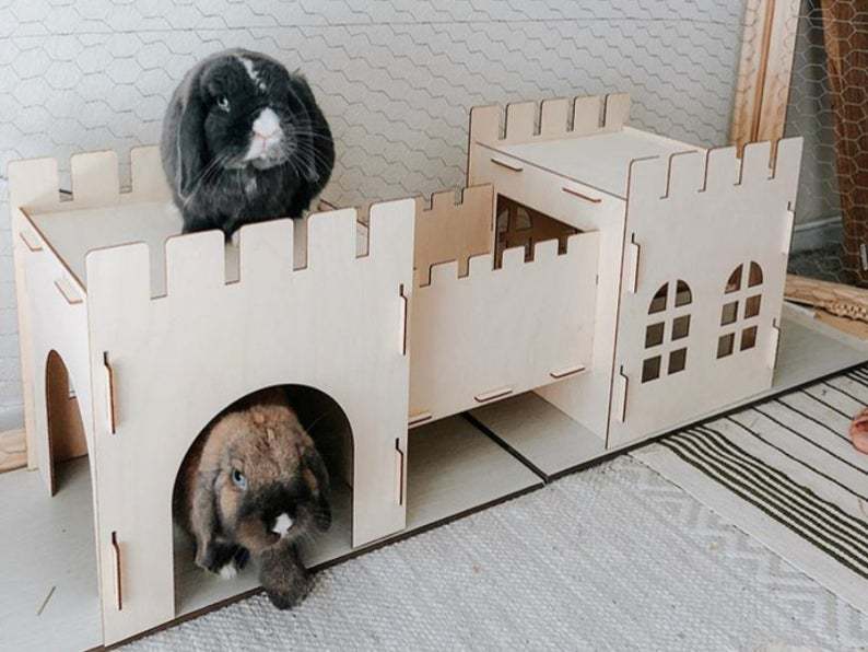 Rabbit Castle