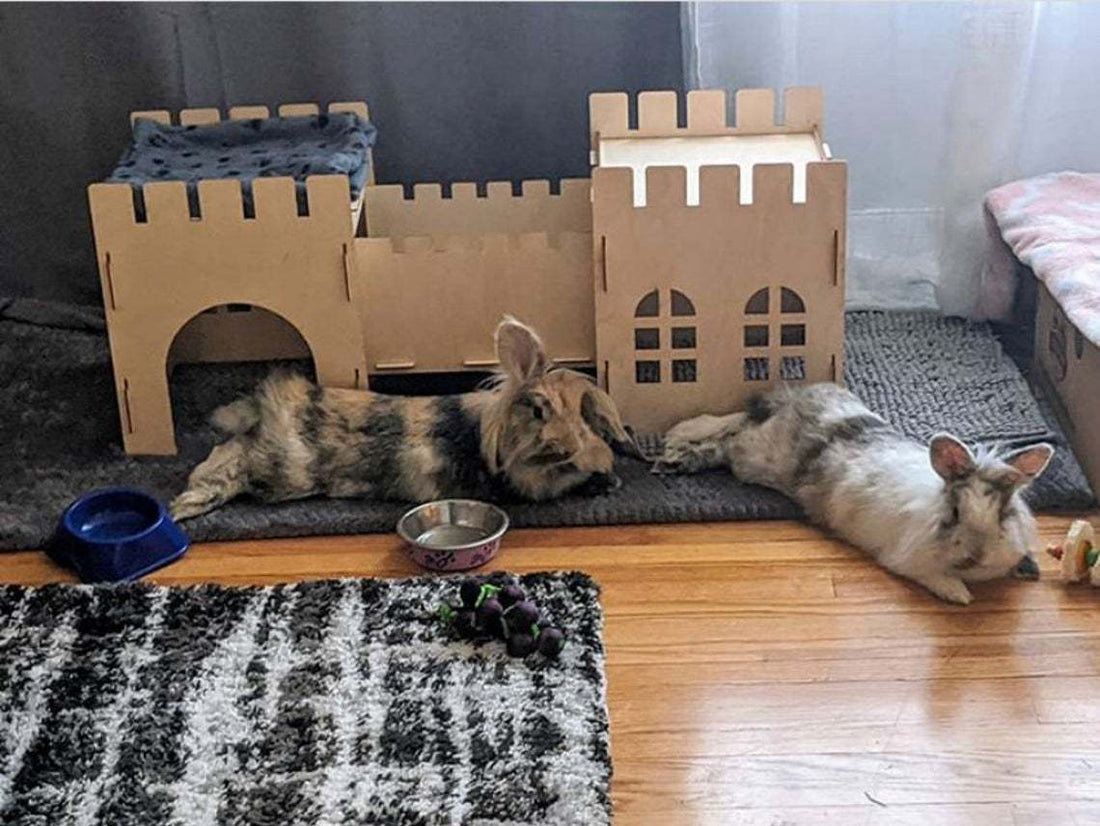 Rabbit Castle