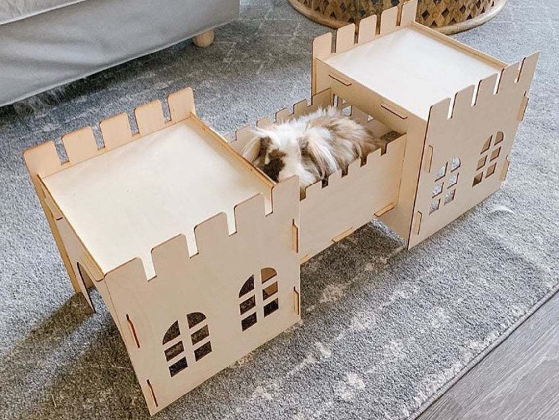 Rabbit Castle