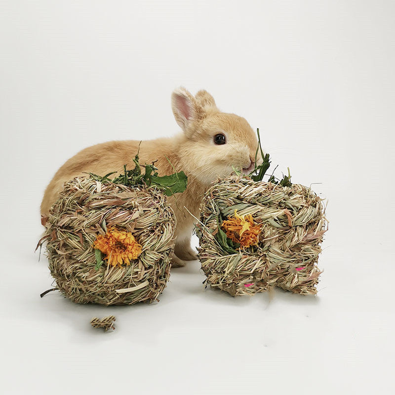 Small Pet Amused Grass Ball