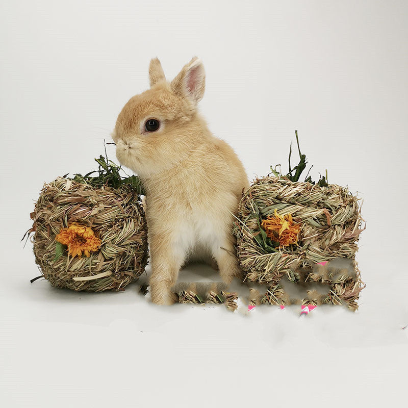 Small Pet Amused Grass Ball