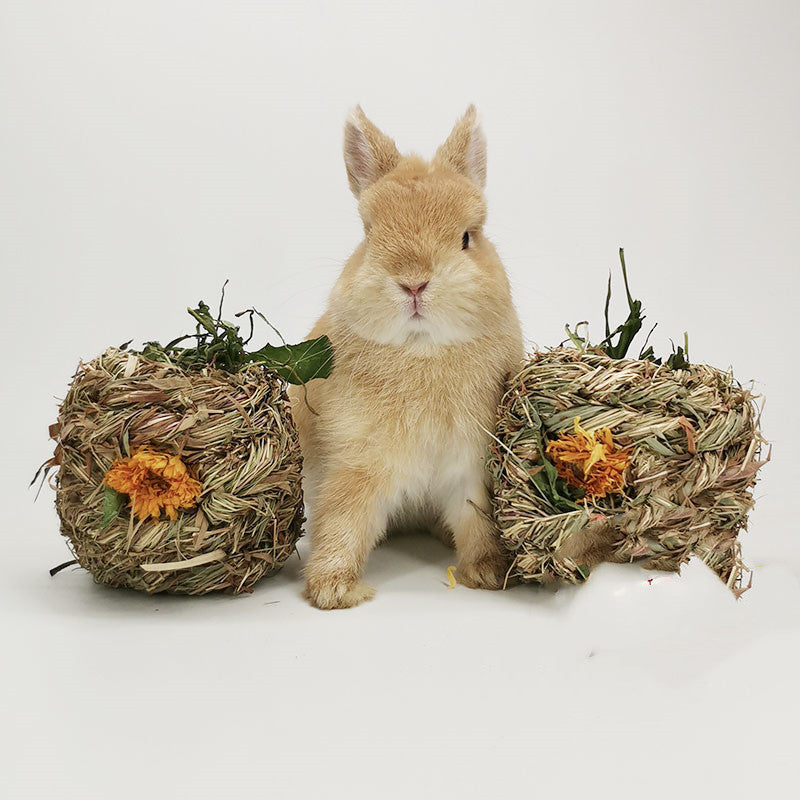 Small Pet Amused Grass Ball