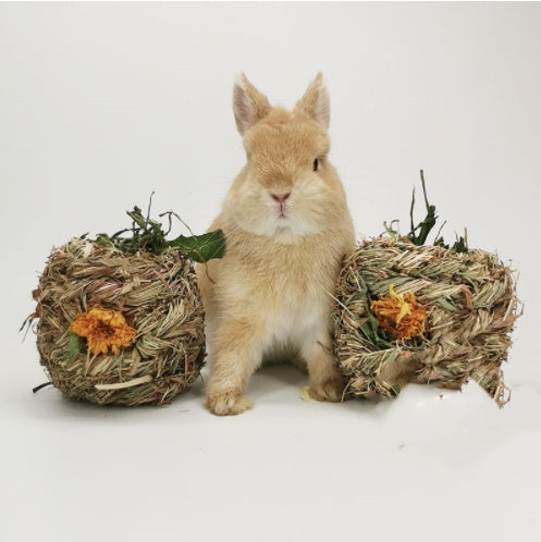 Small Pet Amused Grass Ball