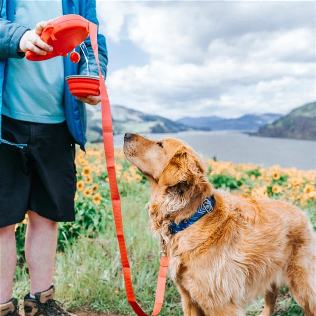 Pet traction rope kettle trash bag & Leash
