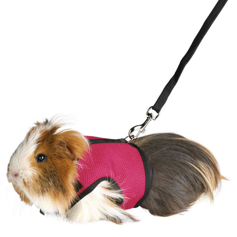 Bunny clothes leash