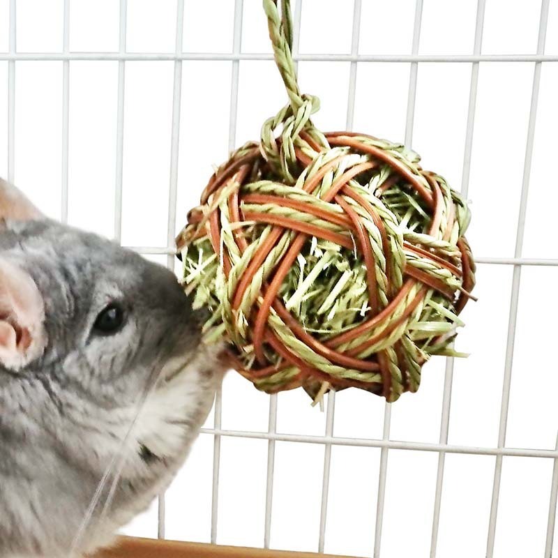 Molar stick for chinchilla and rabbit