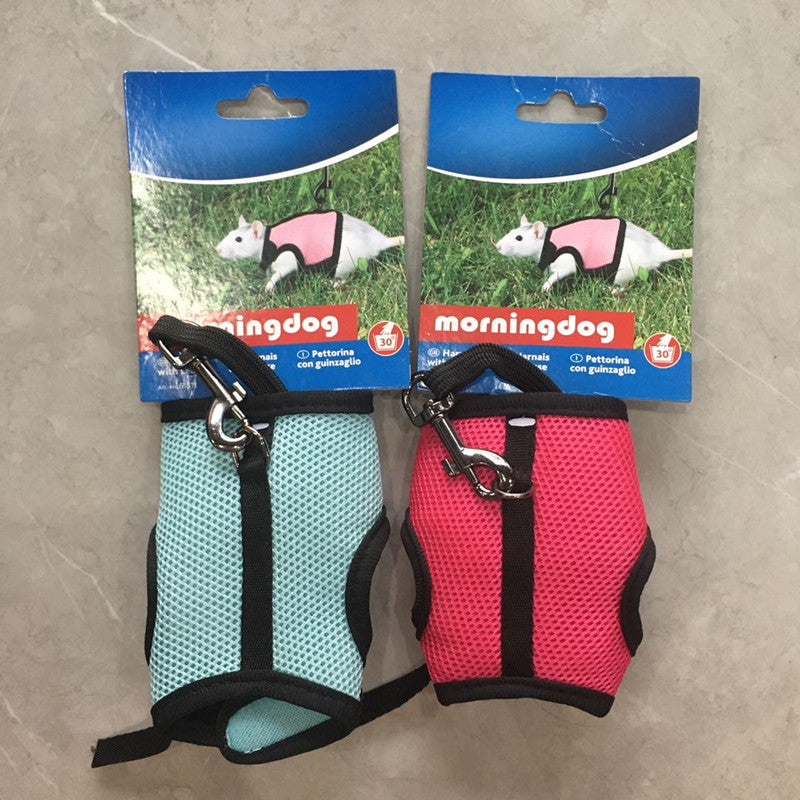 Bunny clothes leash