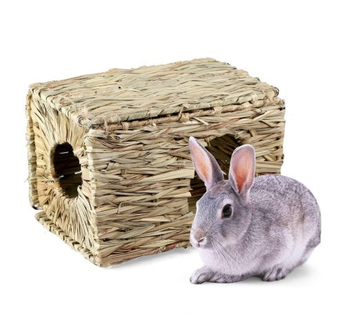 Rabbit Chinchilla Guinea Pig