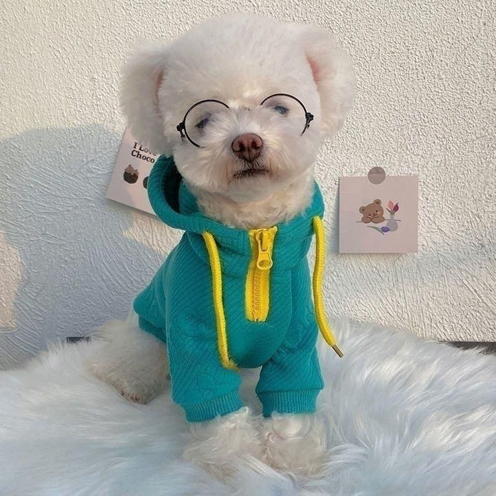 Internet Celebrity Pet Sweater