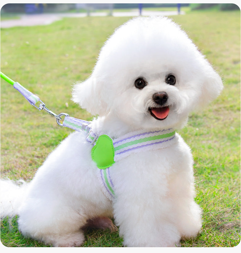 Summer Breathable Corgi Pet Leash
