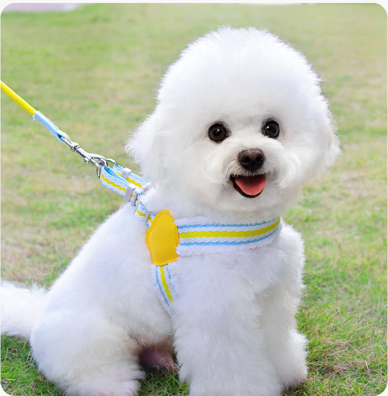 Summer Breathable Corgi Pet Leash