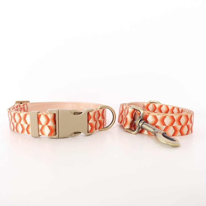 Pet Haulage Rope Wear-resistant Printing Leash