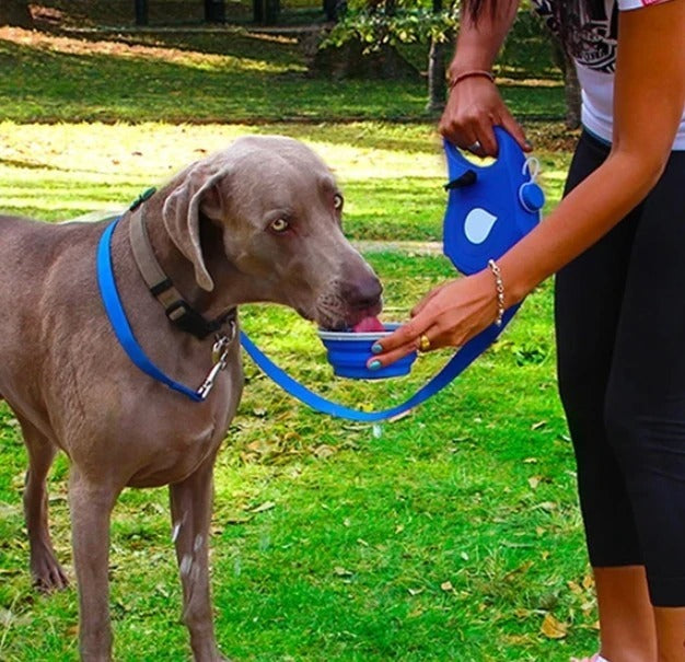 Pet traction rope kettle trash bag & Leash