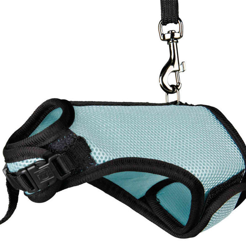 Bunny clothes leash