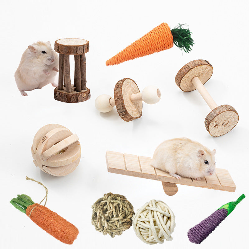 Rabbit Guinea Pig Parrot Play Molars Set