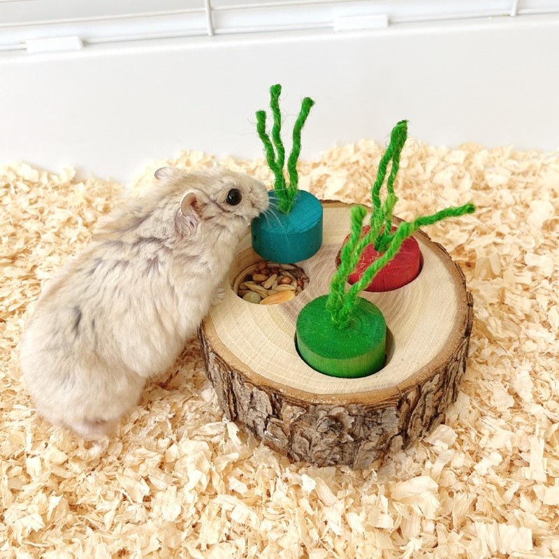 Rabbit Wooden Pet Foraging Snack Box