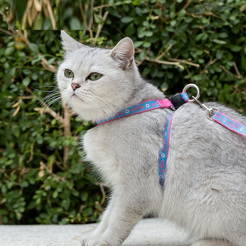 Pet Vest Small Dog Teddy Leash