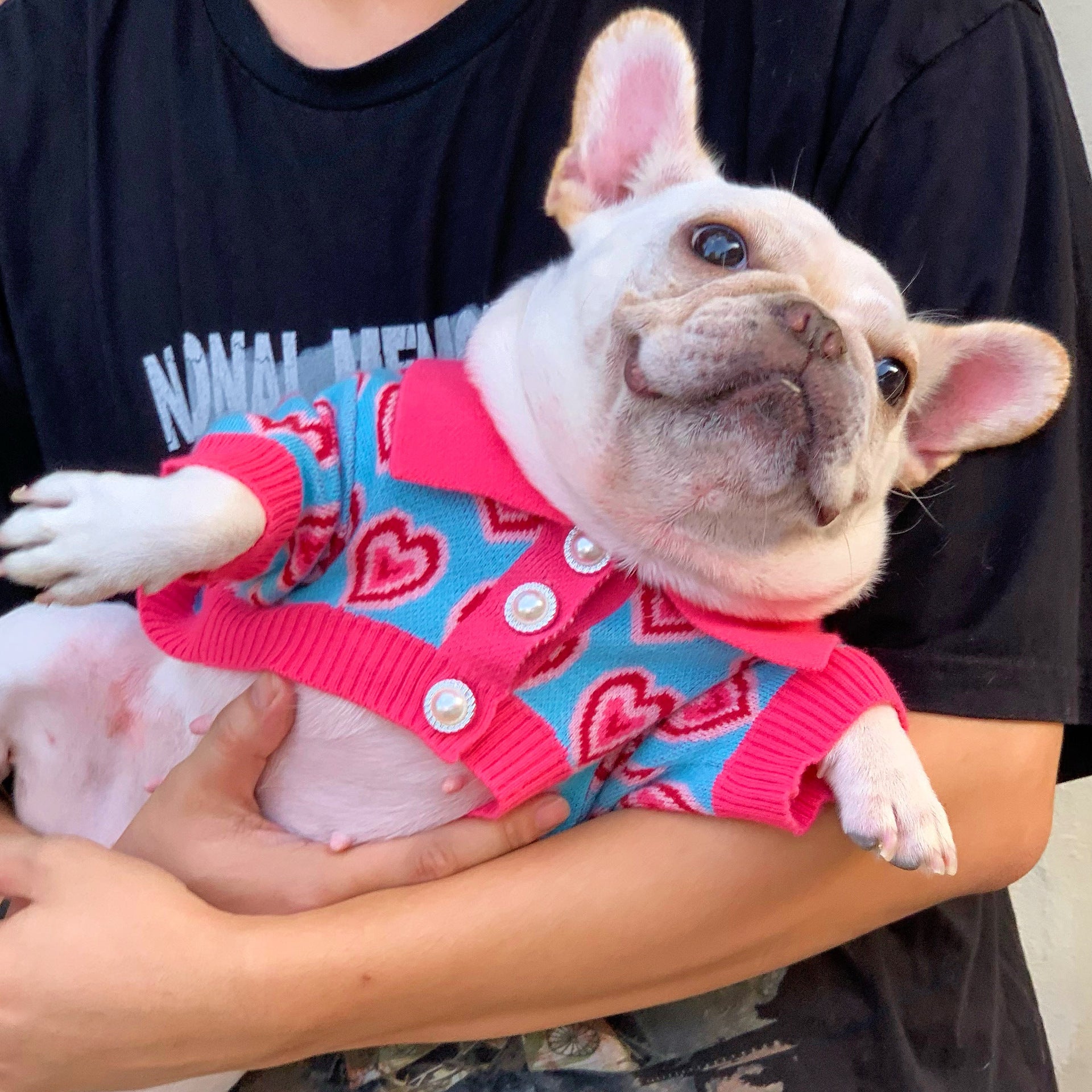 Pet Trendy Dog Sweater Cat French Schnauzer