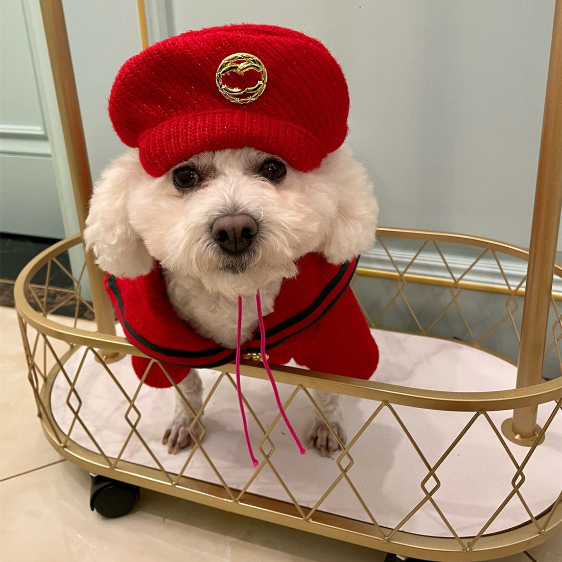 Pet Sweater Autumn And Winter Dog Clothes